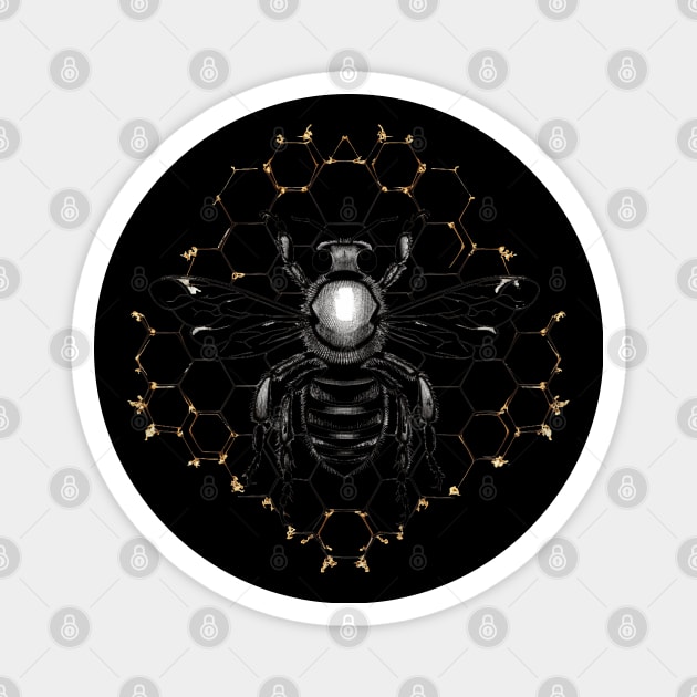 Black And White Bee Magnet by Nightarcade